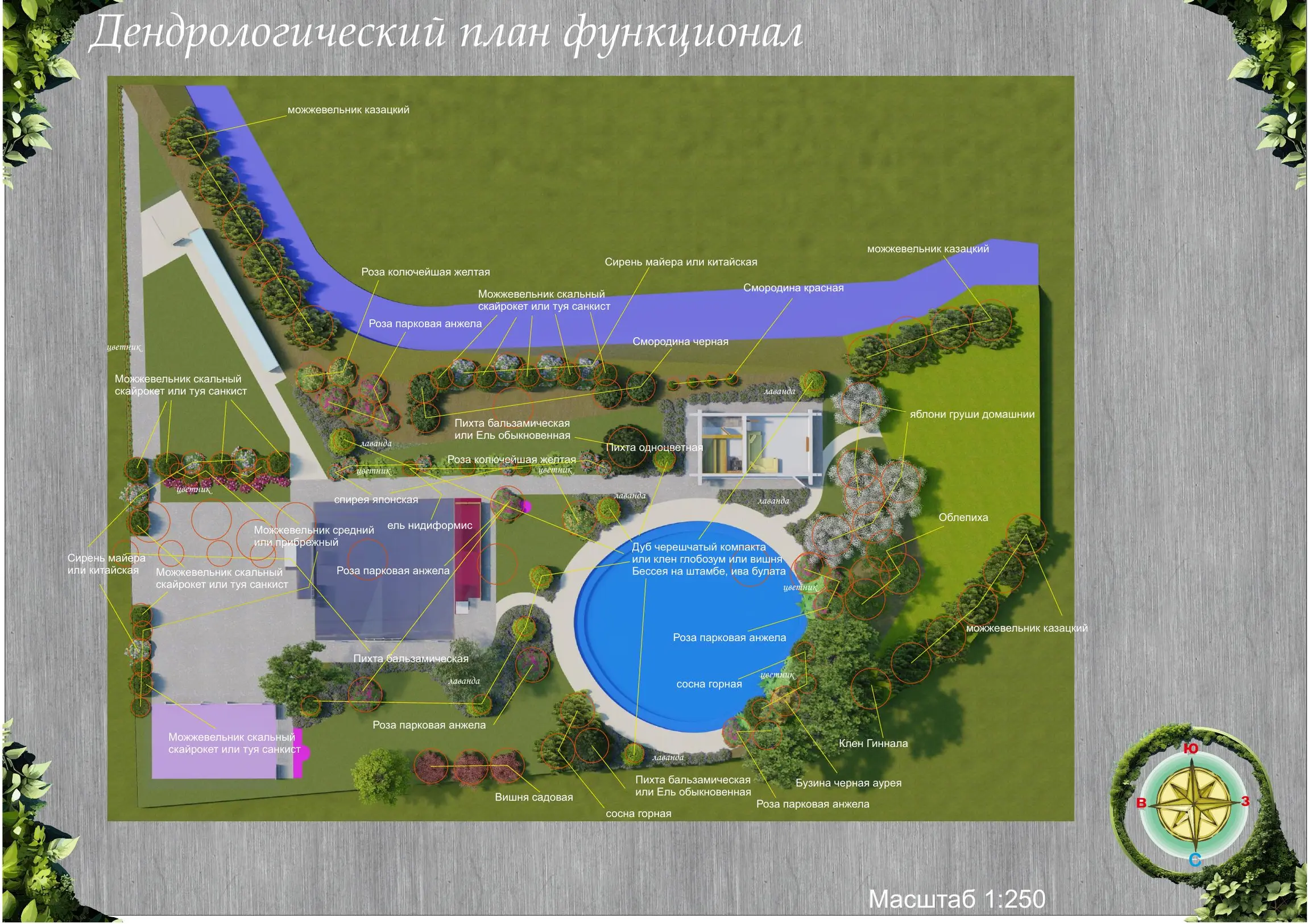 Дендрологический план проекта Ока